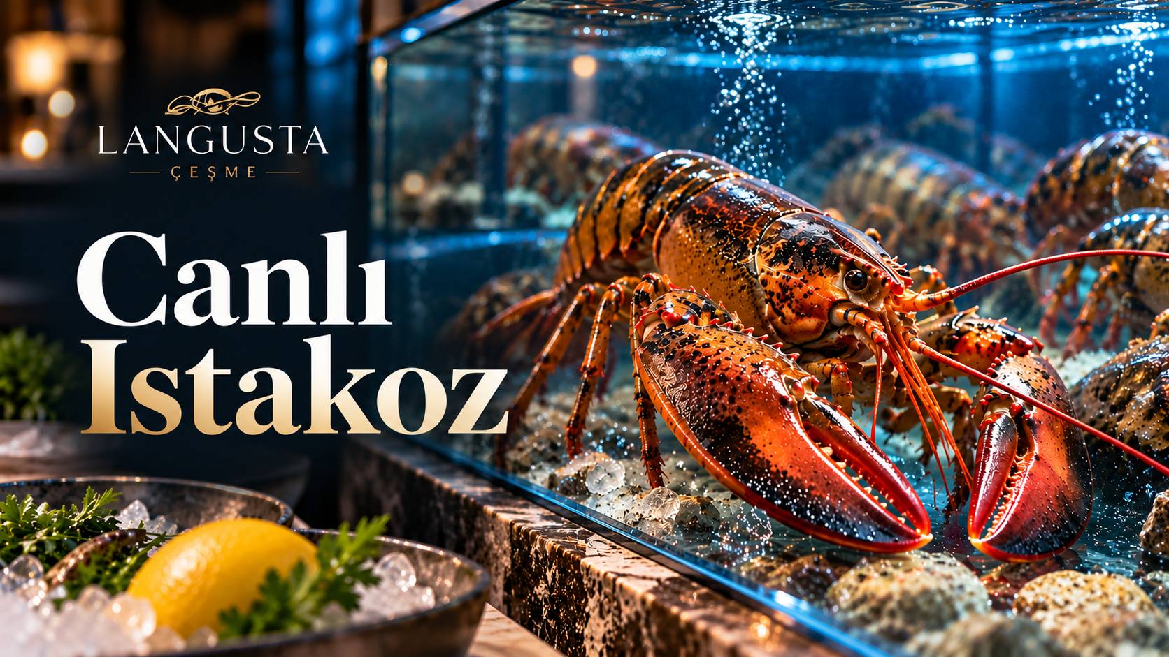 canli istakoz secimi